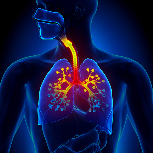 Respiratory Diseases at MediDENT Multicare Clinic